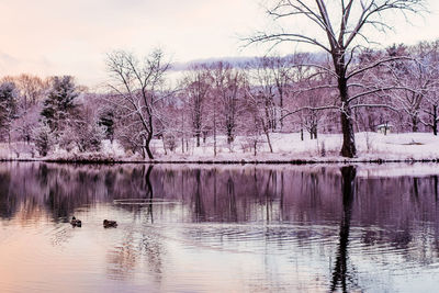 Reflection of trees in lake against sky