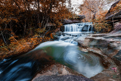 Stream flowing through rocks in forest