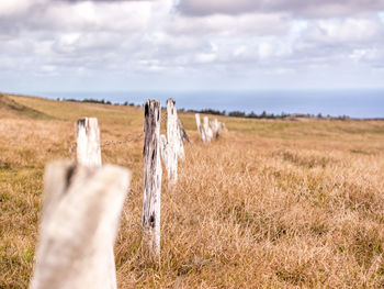 Fence on field against sky