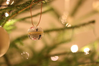 Close-up of christmas decoration hanging on tree