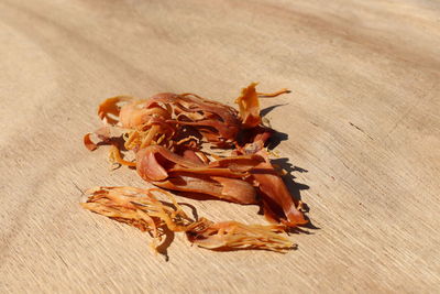 Close-up of dried plant on table