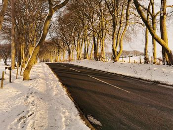 Snow covered road along bare trees in winter