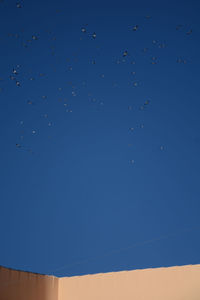 Low angle view of birds flying against clear blue sky