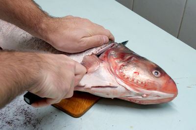 Cropped hand of man preparing fish