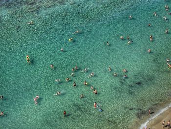 High angle view of water