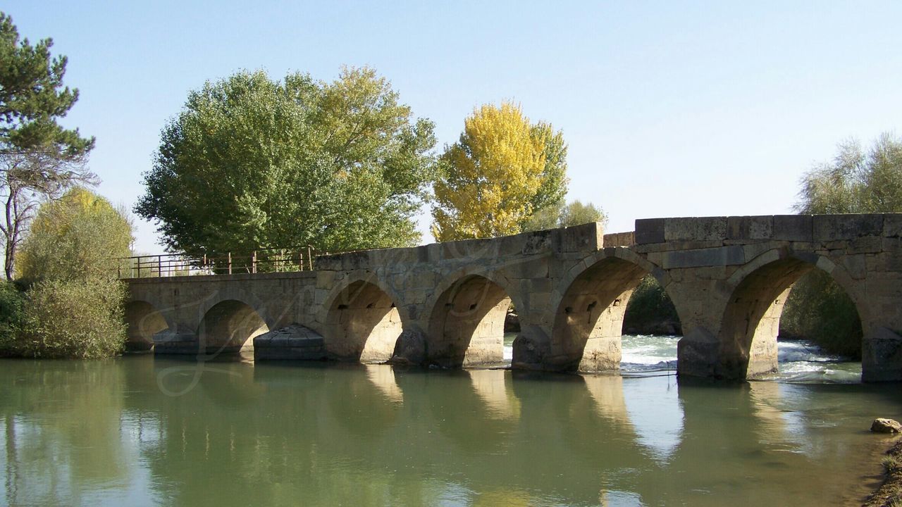 tree, connection, bridge - man made structure, clear sky, built structure, water, architecture, arch bridge, reflection, river, arch, bridge, waterfront, canal, tranquility, nature, day, footbridge, lake, outdoors