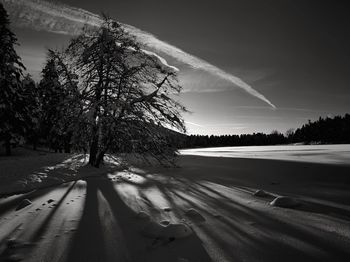 Road by trees against sky during winter