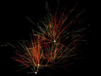 Low angle view of firework display against sky at night