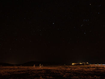 View of a field at night