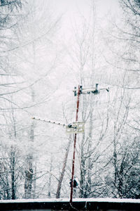 Bare trees against sky