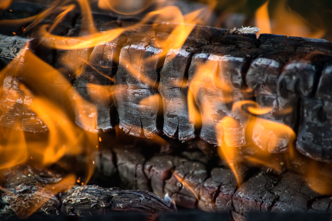 CLOSE-UP OF BONFIRE ON LOG