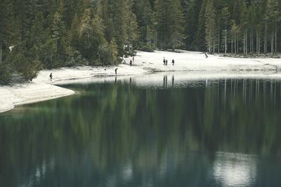 Scenic view of lake with trees in background