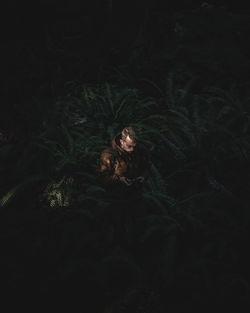 High angle view of man standing in forest at night