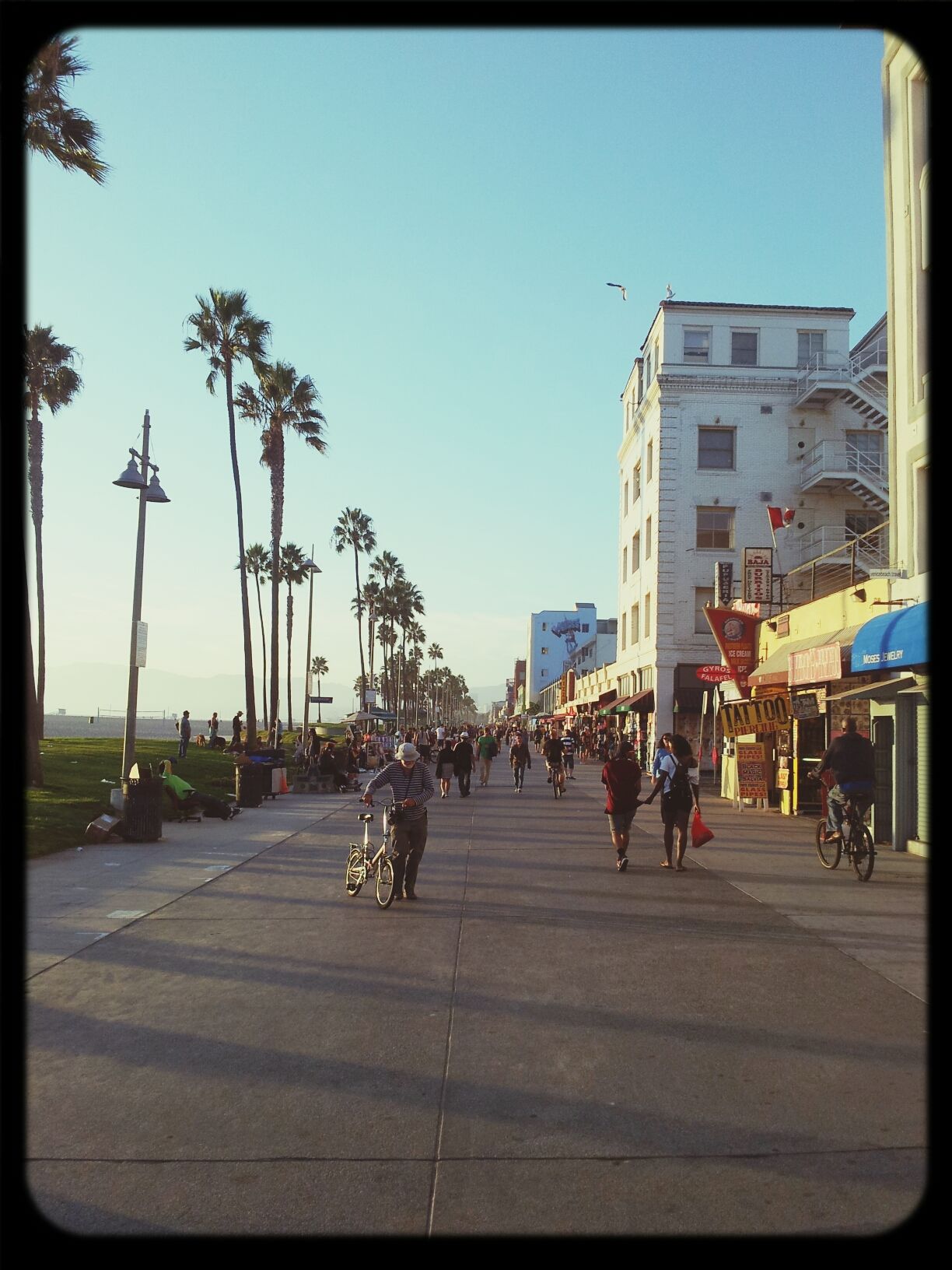 California beaches