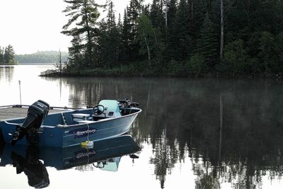 Reflection of trees in calm lake