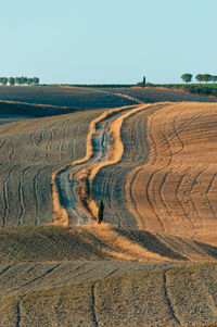 Wavy hills in tuscan farmland