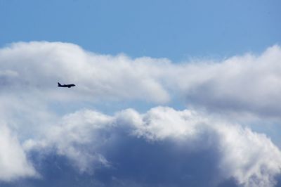 Low angle view of airplane flying in sky