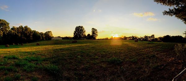 Scenic view of grassy field against sky at sunset