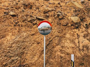 High angle view of cupcakes on rock