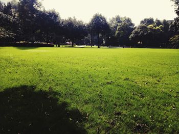 View of golf course on field