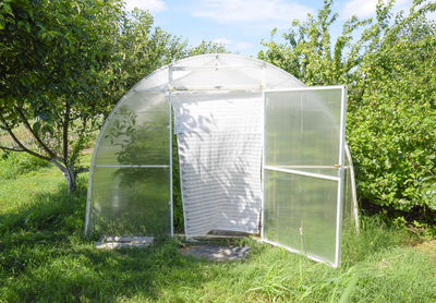 View of field in greenhouse