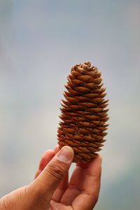 Close-up of hand holding ice cream