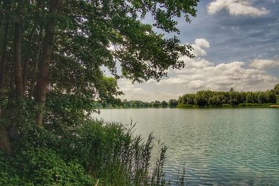 Scenic view of lake in forest against sky