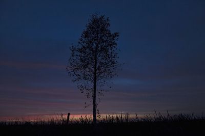 Silhouette tree on field against sky at sunset