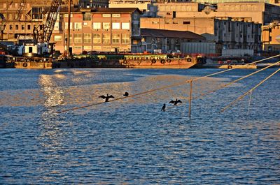 Scenic view of water during winter