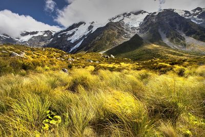 Scenic view of grassy field against cloudy sky