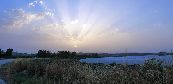 Scenic view of sunset