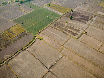 High angle view of agricultural field