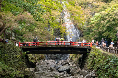 People on footbridge against trees