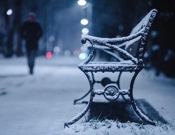 Close-up of a bird on snowy landscape at night