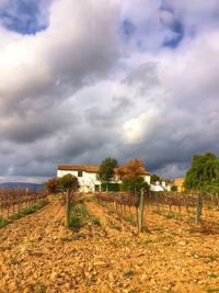 Scenic view of field against cloudy sky