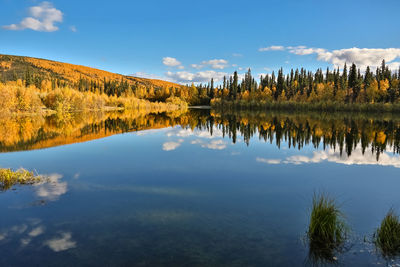 Scenic panoramic view of lake by trees against sky