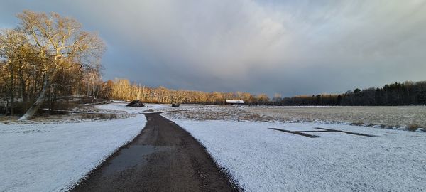 Road amidst trees against sky