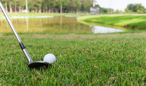 Close-up of golf ball and swing on grass