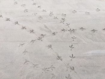 Close-up of footprints on sand