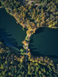 High angle view of trees by lake