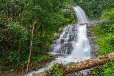 View of waterfall in forest