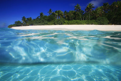 Tropical island with a paradise beach and palm trees, fiji islands