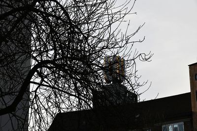 Low angle view of bare tree and building against sky