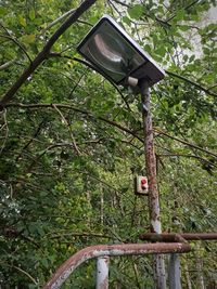 Low angle view of street light against trees