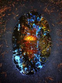 Reflection of trees in puddle