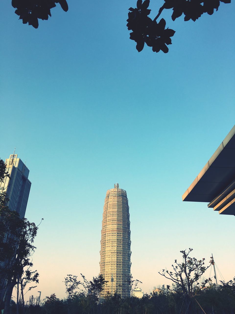 building exterior, architecture, clear sky, low angle view, built structure, tall - high, tower, blue, city, skyscraper, copy space, building, modern, office building, outdoors, tree, no people, day, sunlight, sky