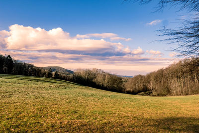 Scenic view of field against sky