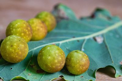 Close-up of fruits on table