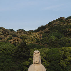 Statue against trees and plants against sky