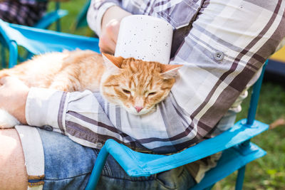 Midsection of man with cat